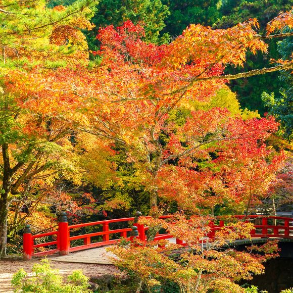 廿日市市