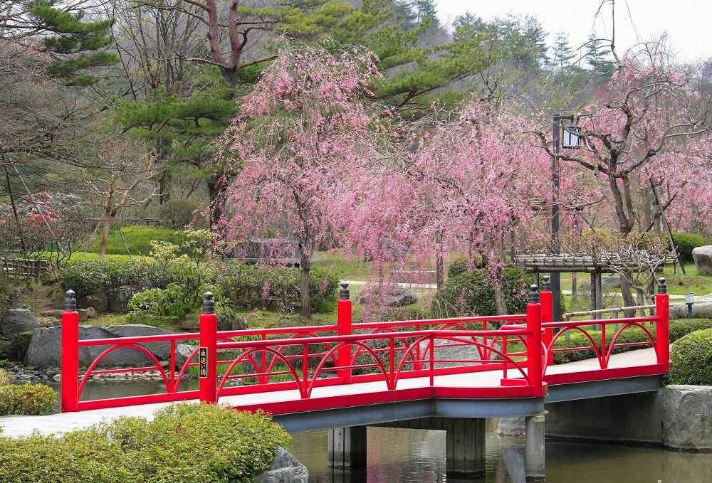庭園(春イメージ)