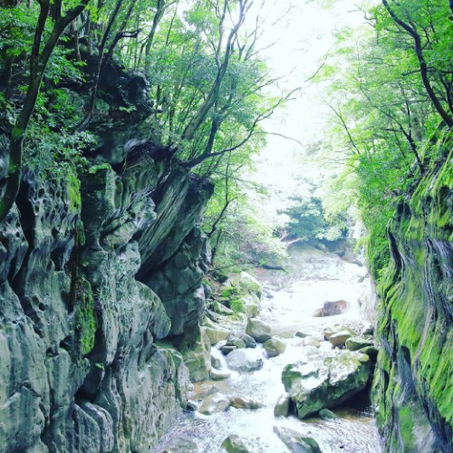 鈴鹿市