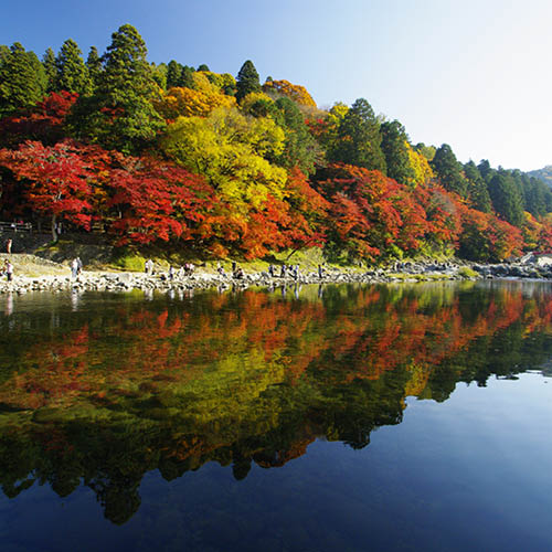 豊田市