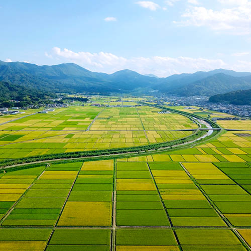 与謝野町